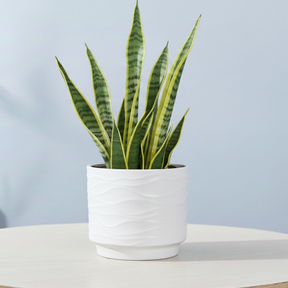 10cm Caliber Medium-temperature Electrostatic Glaze Ceramic Flower Pots, Simple Wavy Pattern, Garden Use Wholesale